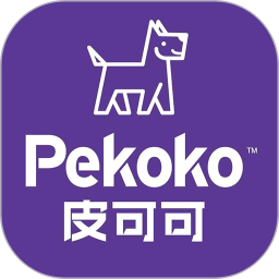皮可可打印机
