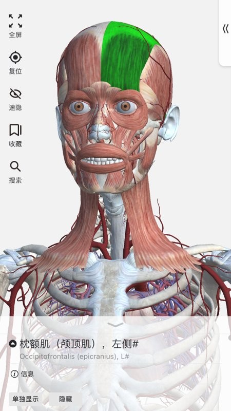 口袋解剖app 截图2