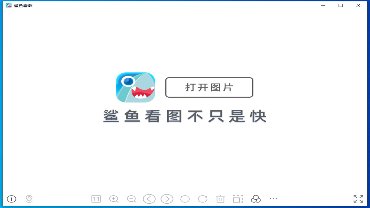 鲨鱼看图下载