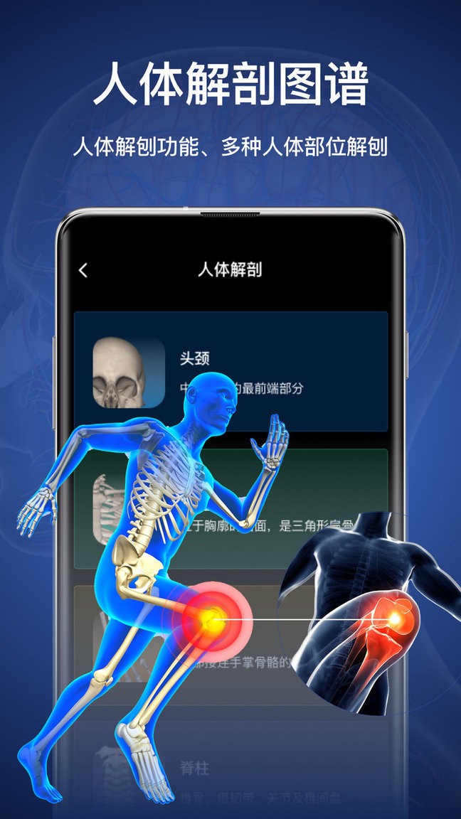 3d人体模型手机版