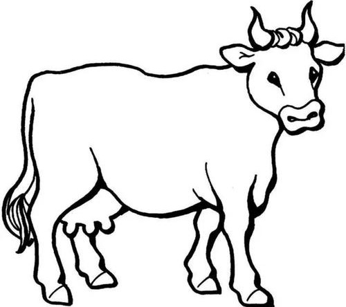 牛的简笔画可爱版