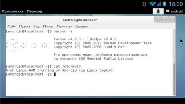 LinuxDeploy汉化版 v2.3.0 最新安卓版1