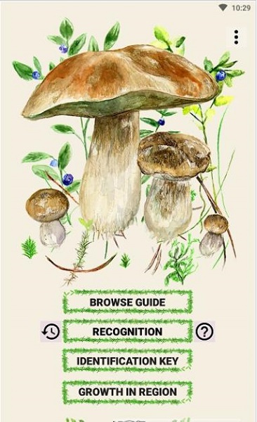 mushrooms软件下载
