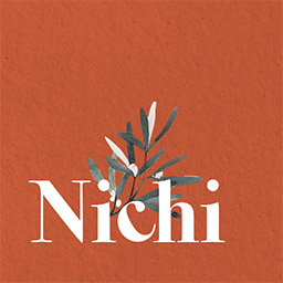 Nichi日常特效软件