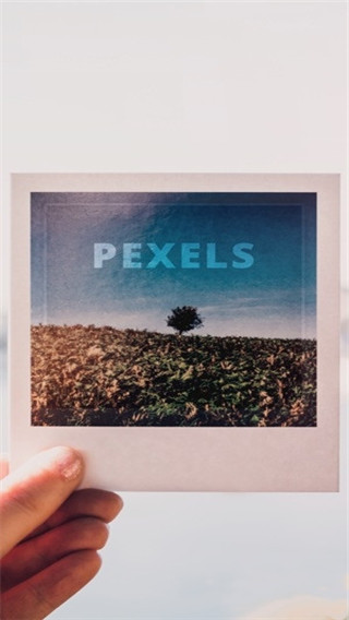 pexels安卓下载