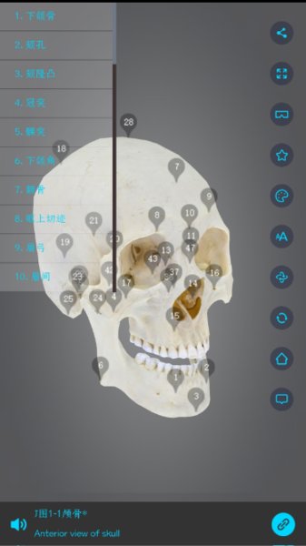 医维度3d解剖软件 v1.6.3 安卓最新版1