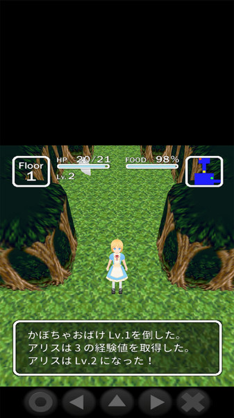 爱丽丝与不思议的迷宫游戏 v1.0.2 安卓版0