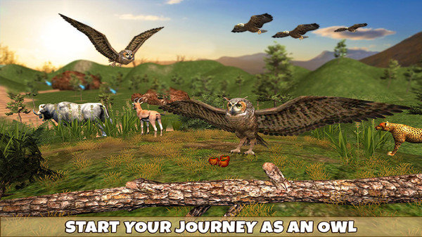 野生猫头鹰模拟器游戏 v1.0 安卓版2