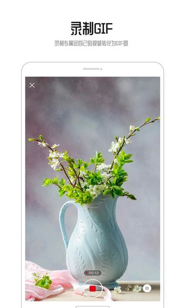 GIF动图编辑器app 截图2