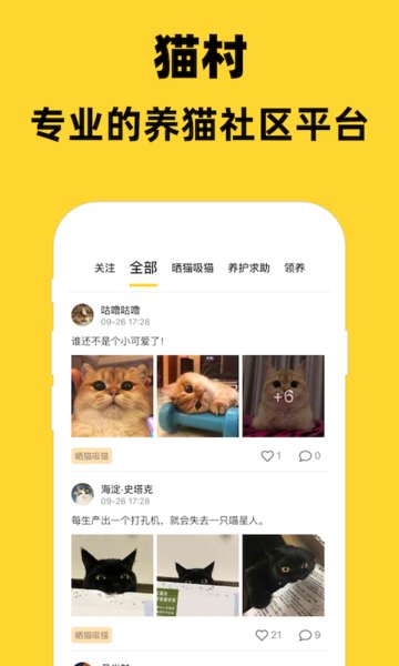 猫村官方版 截图3