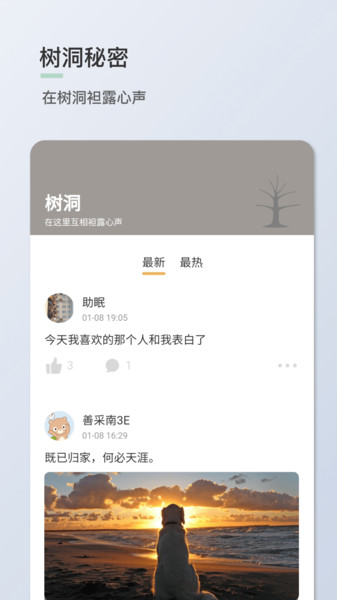 青桔日记app