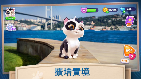 我的可爱猫咪游戏 v1.0.2 安卓版0