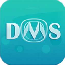 长安乘用车营销宝dms