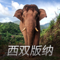 亚洲象预警监测app