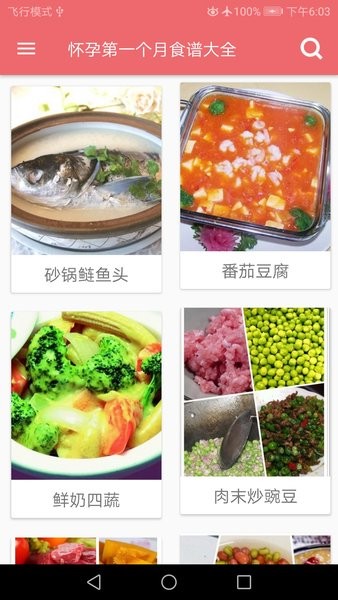 孕妇营养食谱app下载