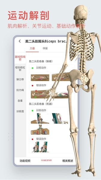 3D运动解剖软件 v1.0.1 安卓版3