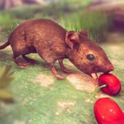 老鼠模拟生存游戏完整版