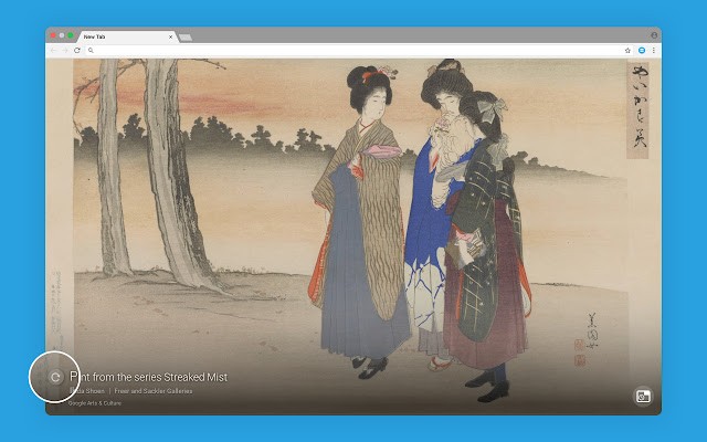 Google艺术与文化插件 v2.1.1 电脑版2
