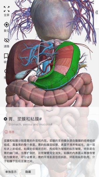 人体解剖3d模型 v2.1.3 安卓版2