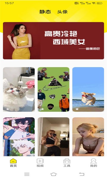 四季视频壁纸app