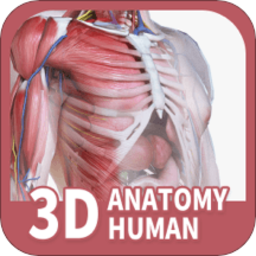 人�w解剖3d模型v2.1.3 安卓版