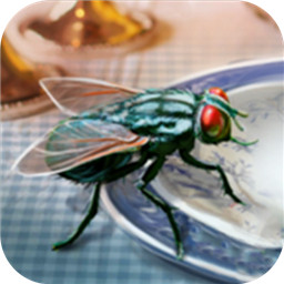 模拟苍蝇生存小游戏下载