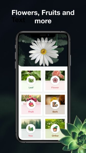 leafsnap app 截图2
