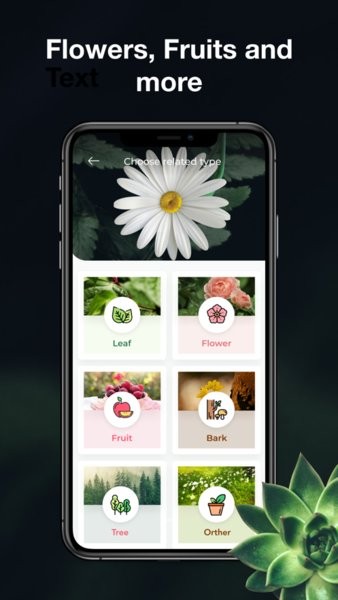 leafsnap app v2.1.3 安卓版2