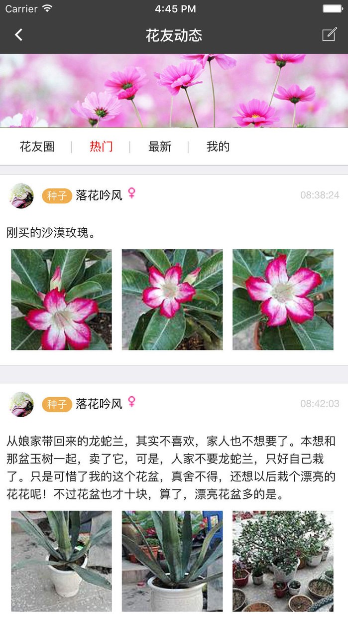 枫桥居花卉app