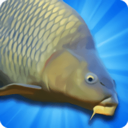 鲤鱼钓鱼模拟器手机版