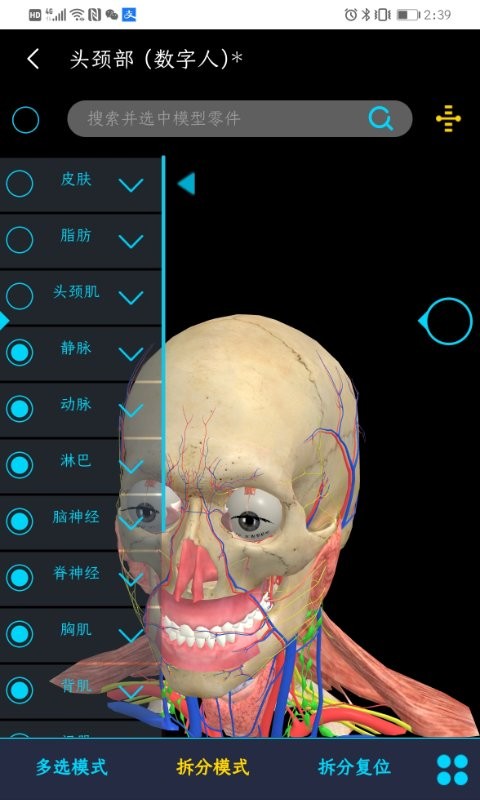 医维度人体解剖软件 截图2
