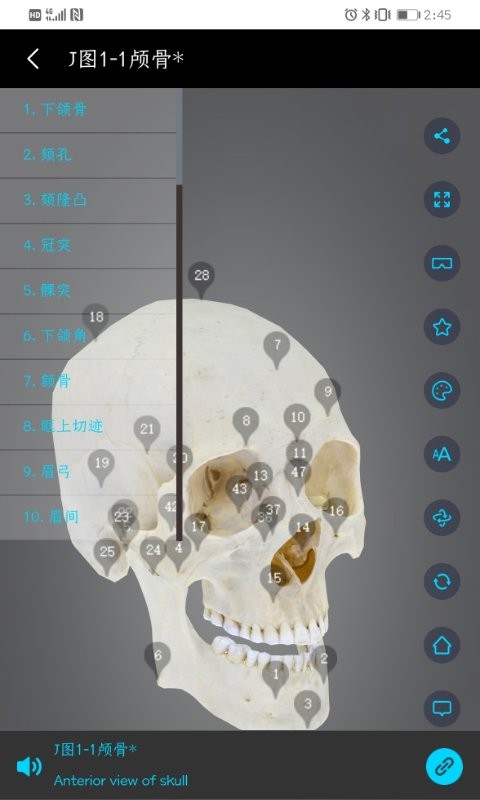 医维度人体解剖软件 截图0