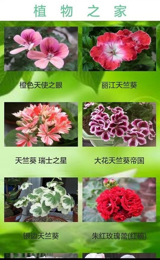 植物之家官方版 截图0