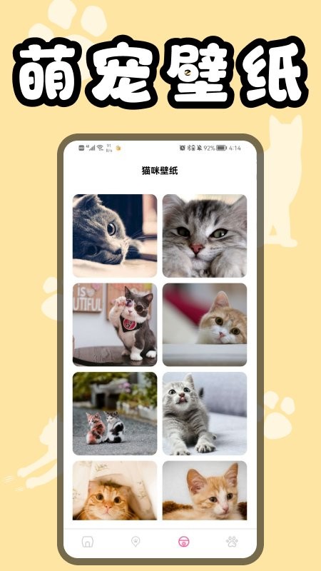 猫猫翻译器app v1.1 安卓版1