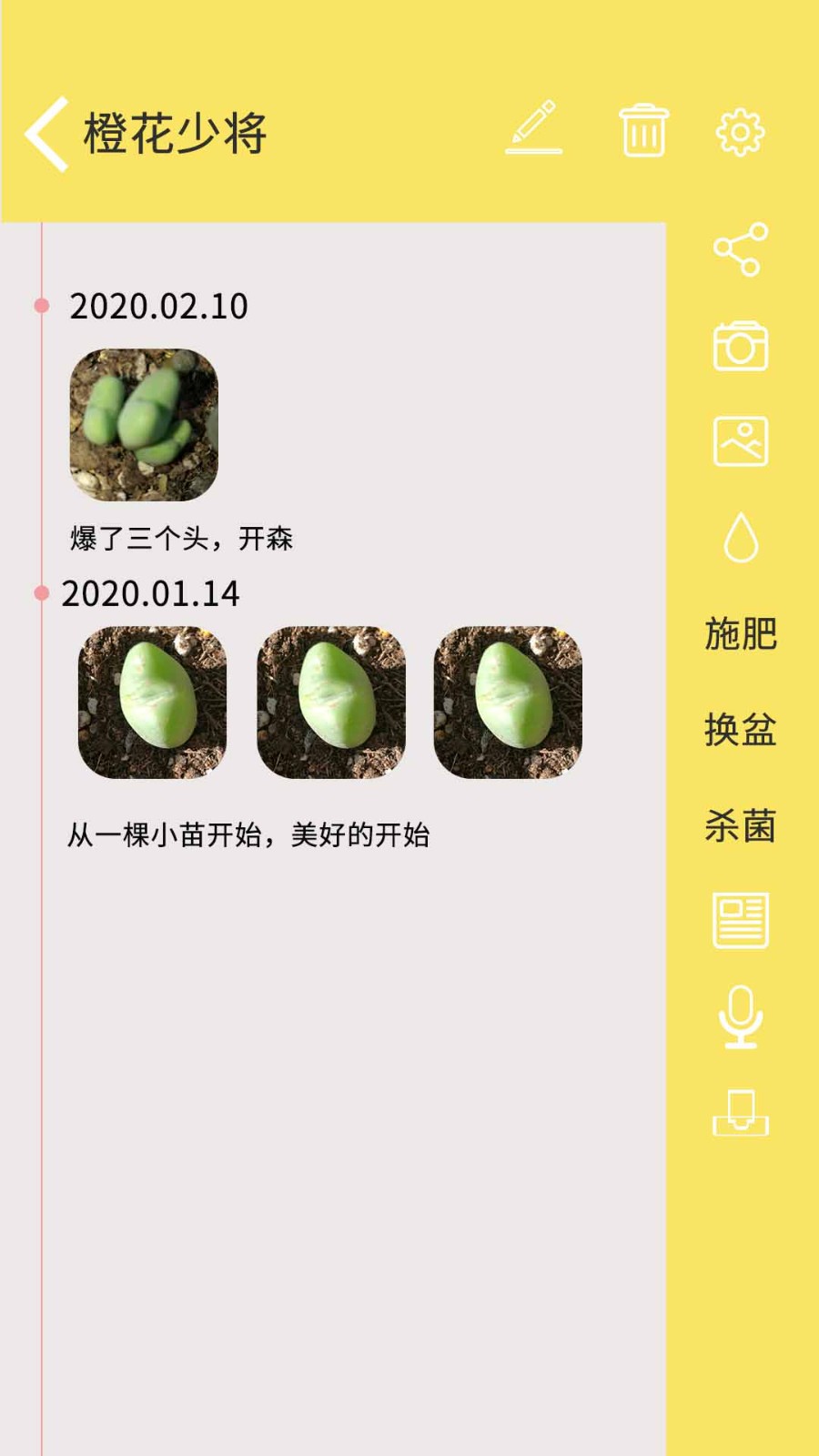 多肉花草日记app 截图2