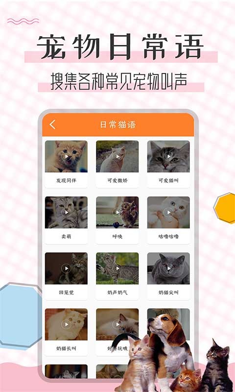 貓語翻譯寶app v1.2.3 安卓版 1