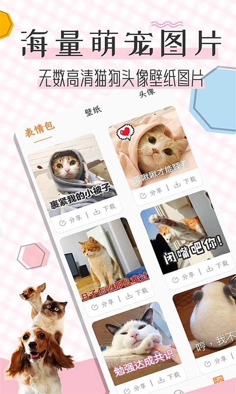 貓語翻譯寶app v1.2.3 安卓版 0