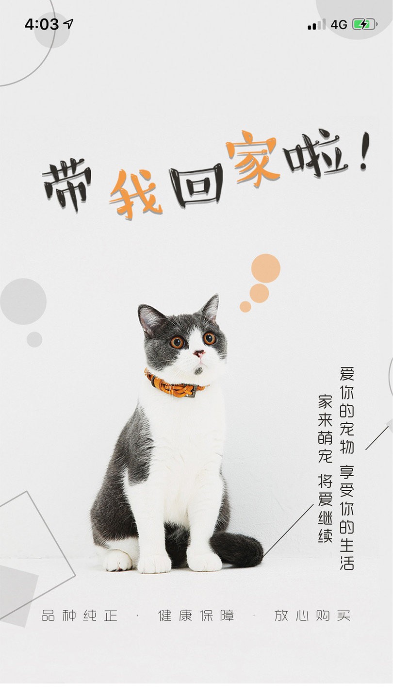 猫行狗市app