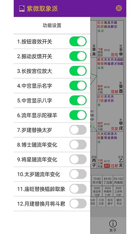 紫微取象派软件 截图2