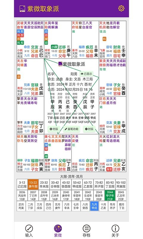 紫微取象派软件 截图3