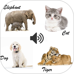 动物和声音软件