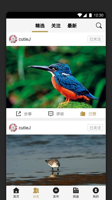 识鸟家app更新版 截图3