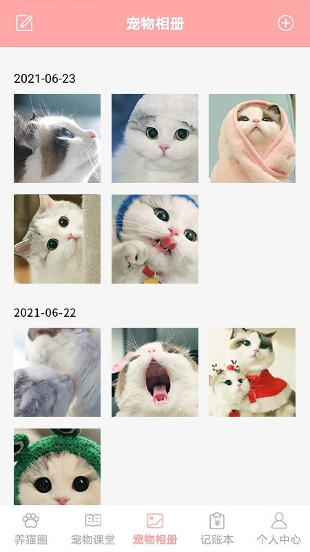 遇见我的猫软件官方版 v1.4 安卓最新版1