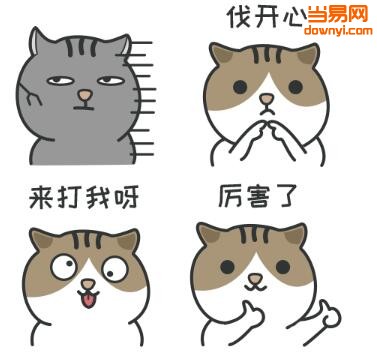 肥呢呢表情包