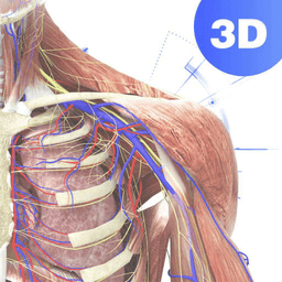 人体3D解剖图谱