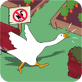 大鵝模擬器雙人