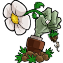 植物大战僵尸转基因