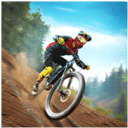 Bicycle Stunts 2