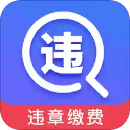 駕車違章查詢