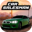 CarSalerSimulator